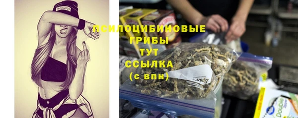 каннабис Абаза