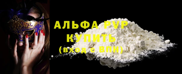 ПСИЛОЦИБИНОВЫЕ ГРИБЫ Новозыбков