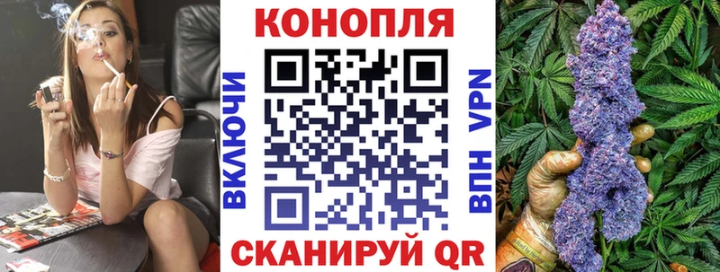 где продают   Алдан  Канабис гибрид 